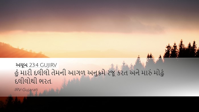 અયૂબ 23:4 GUJIRV Bible Verse Image