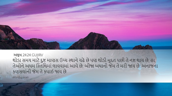 અયૂબ 24:24 GUJIRV Bible Verse Image