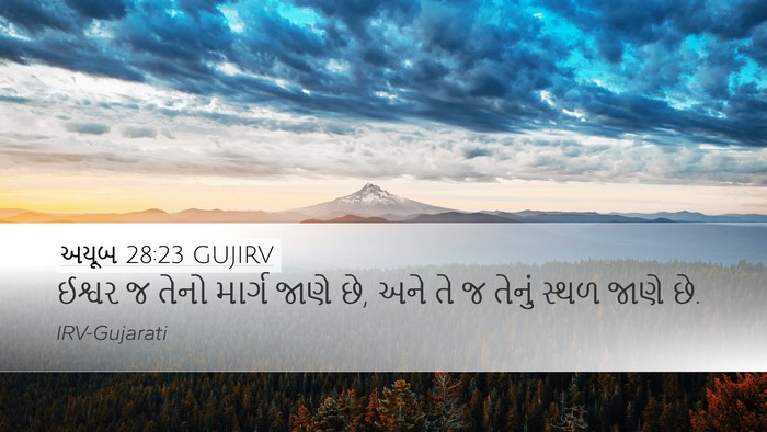 અયૂબ 28:23 GUJIRV Bible Verse Image