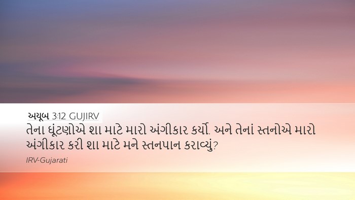 અયૂબ 3:12 GUJIRV Bible Verse Image