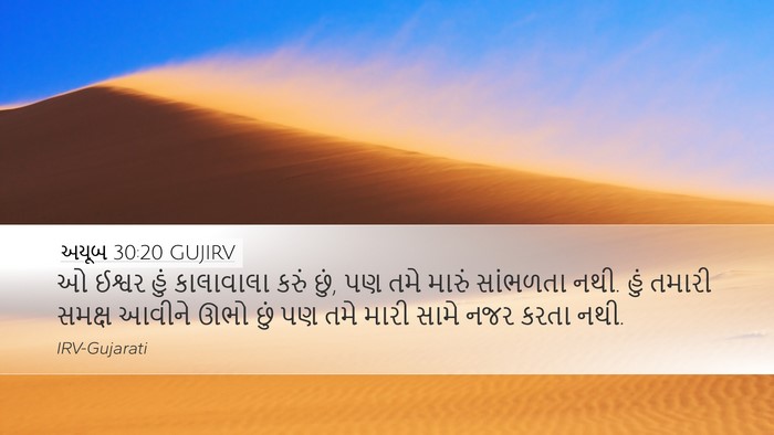અયૂબ 30:20 GUJIRV Bible Verse Image