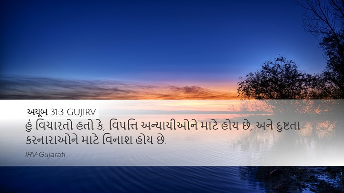 અયૂબ 31:3 GUJIRV Bible Verse Image