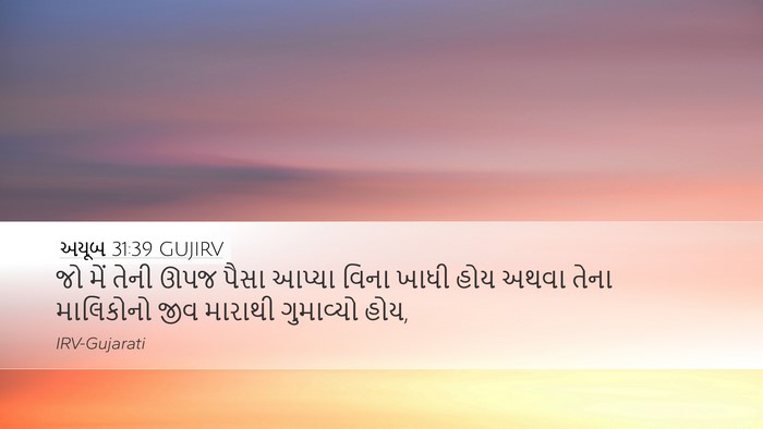 અયૂબ 31:39 GUJIRV Bible Verse Image