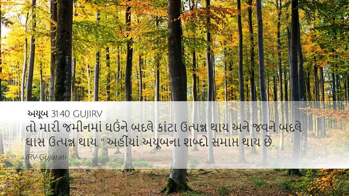 અયૂબ 31:40 GUJIRV Bible Verse Image