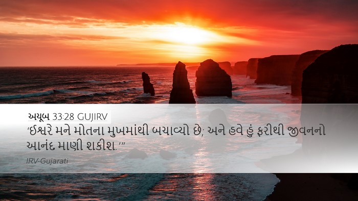 અયૂબ 33:28 GUJIRV Bible Verse Image