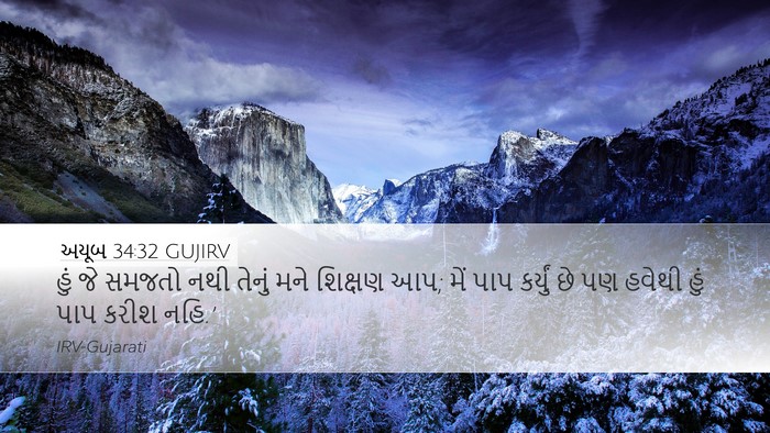 અયૂબ 34:32 GUJIRV Bible Verse Image