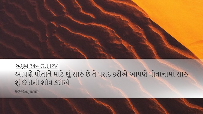 અયૂબ 34:4 GUJIRV Bible Verse Image