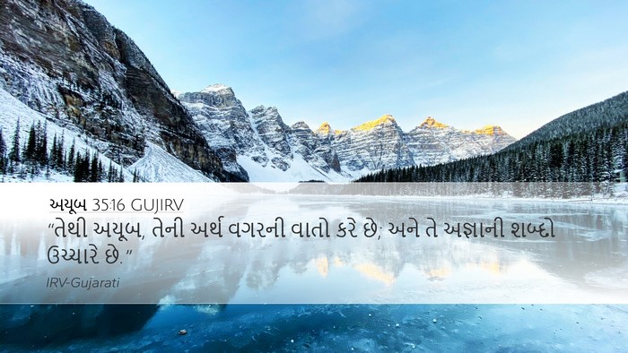 અયૂબ 35:16 GUJIRV Bible Verse Image