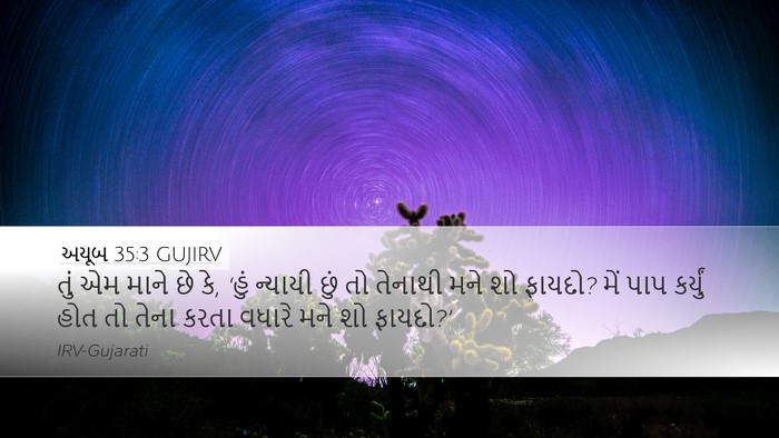 અયૂબ 35:3 GUJIRV Bible Verse Image