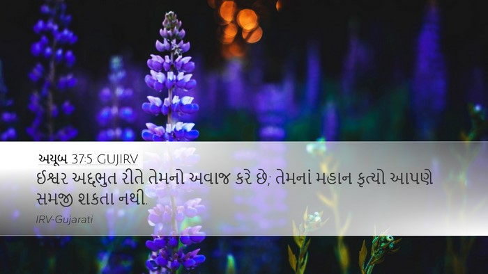 અયૂબ 37:5 GUJIRV Bible Verse Image