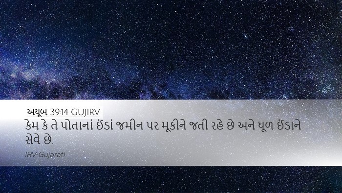 અયૂબ 39:14 GUJIRV Bible Verse Image