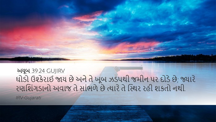 અયૂબ 39:24 GUJIRV Bible Verse Image
