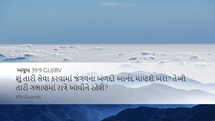 અયૂબ 39:9 GUJIRV Bible Verse Image