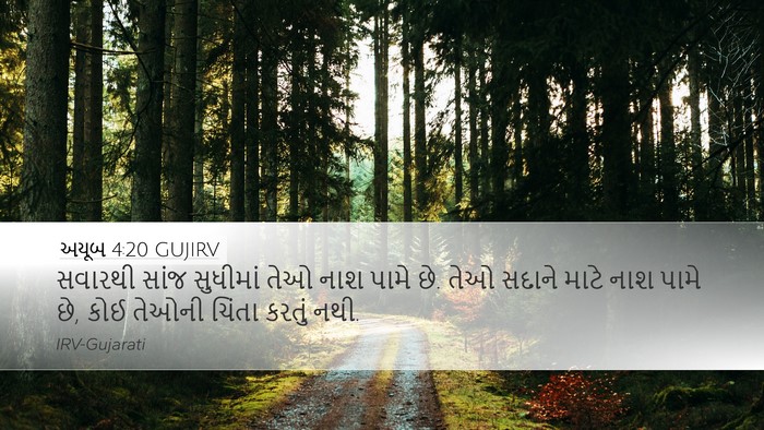 અયૂબ 4:20 GUJIRV Bible Verse Image