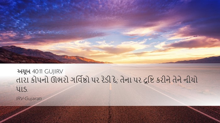 અયૂબ 40:11 GUJIRV Bible Verse Image