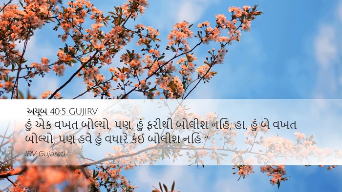 અયૂબ 40:5 GUJIRV Bible Verse Image
