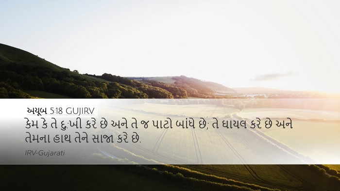 અયૂબ 5:18 GUJIRV Bible Verse Image