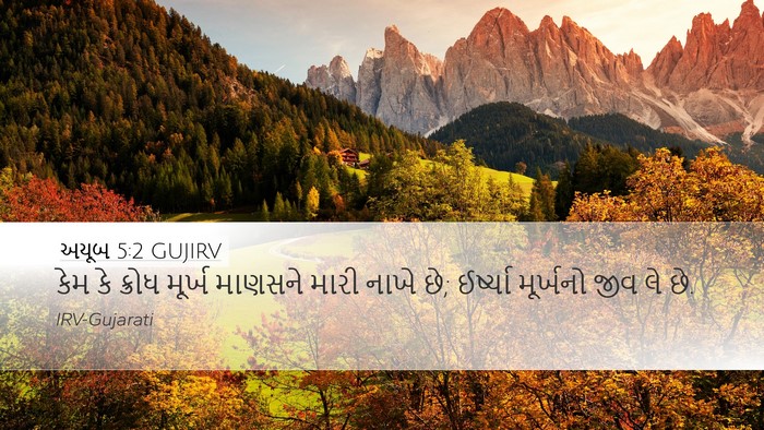 અયૂબ 5:2 GUJIRV Bible Verse Image