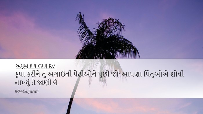 અયૂબ 8:8 GUJIRV Bible Verse Image