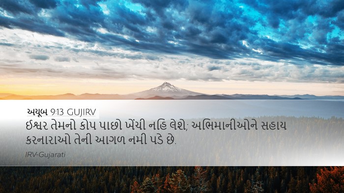 અયૂબ 9:13 GUJIRV Bible Verse Image