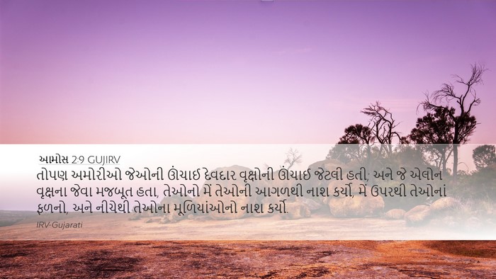 આમોસ 2:9 GUJIRV Bible Verse Image