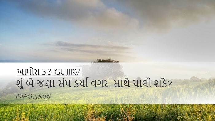 આમોસ 3:3 GUJIRV Bible Verse Image