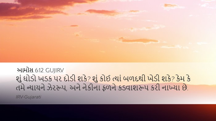 આમોસ 6:12 GUJIRV Bible Verse Image