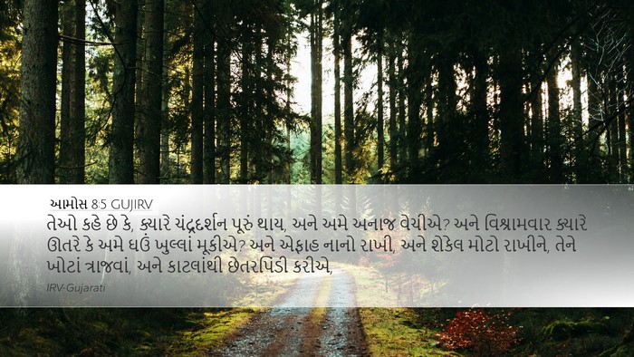 આમોસ 8:5 GUJIRV Bible Verse Image