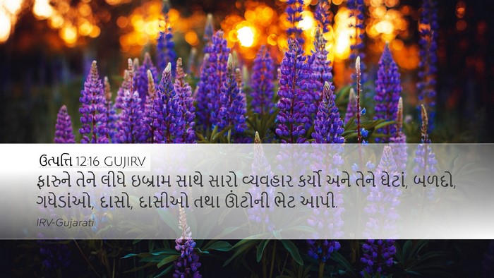 ઉત્પત્તિ 12:16 GUJIRV Bible Verse Image
