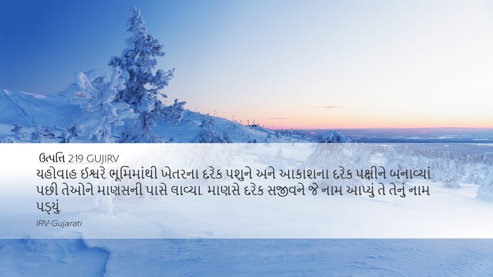 ઉત્પત્તિ 2:19 GUJIRV Bible Verse Image