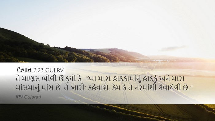 ઉત્પત્તિ 2:23 GUJIRV Bible Verse Image