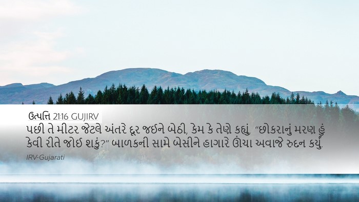 ઉત્પત્તિ 21:16 GUJIRV Desktop Wallpaper - પછી તે મીટર જેટલે - Desktop Bible Verse Wallpaper