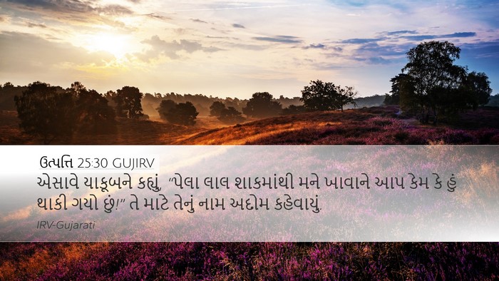ઉત્પત્તિ 25:30 GUJIRV Bible Verse Image