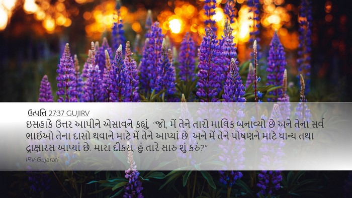 ઉત્પત્તિ 27:37 GUJIRV Bible Verse Image