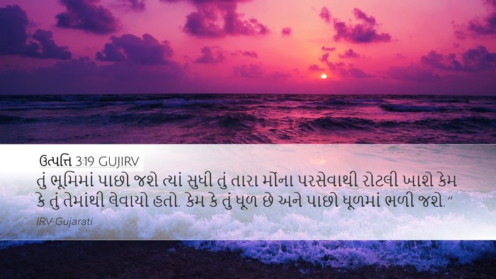 ઉત્પત્તિ 3:19 GUJIRV Bible Verse Image