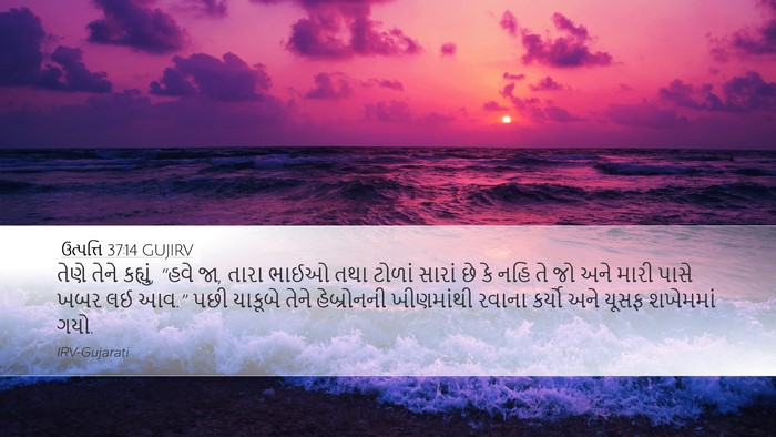ઉત્પત્તિ 37:14 GUJIRV Bible Verse Image