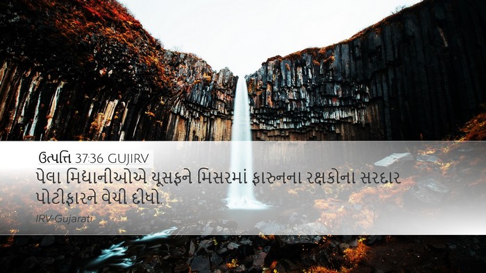 ઉત્પત્તિ 37:36 GUJIRV Bible Verse Image