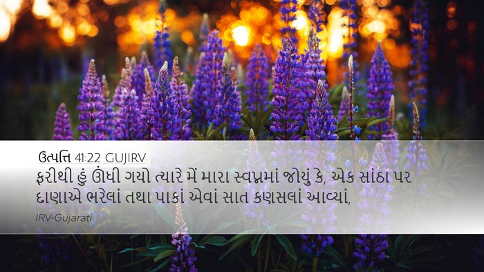 ઉત્પત્તિ 41:22 GUJIRV Desktop Wallpaper - ફરીથી હું ઊંધી ગયો - Desktop Bible Verse Wallpaper