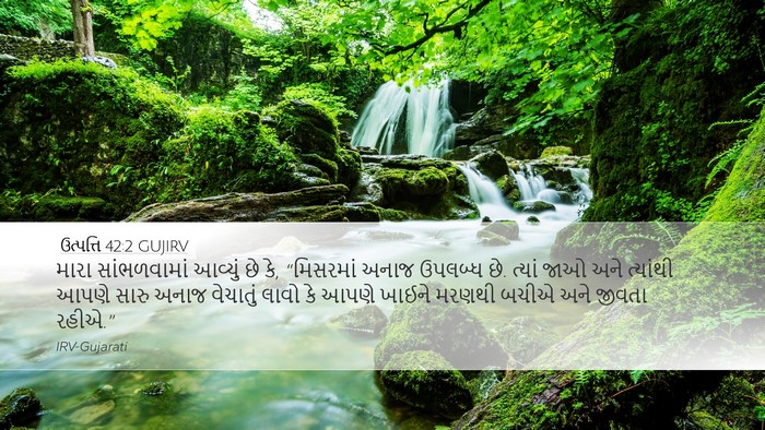 ઉત્પત્તિ 42:2 GUJIRV Bible Verse Image