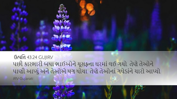 ઉત્પત્તિ 43:24 GUJIRV Bible Verse Image