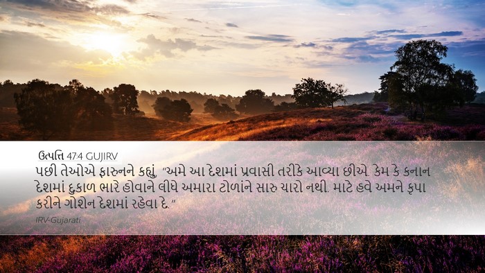 ઉત્પત્તિ 47:4 GUJIRV Bible Verse Image