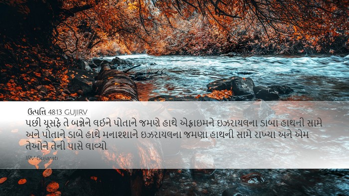 ઉત્પત્તિ 48:13 GUJIRV Bible Verse Image