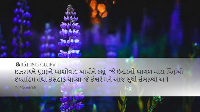 ઉત્પત્તિ 48:15 GUJIRV Bible Verse Image