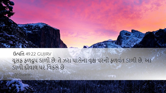 ઉત્પત્તિ 49:22 GUJIRV Bible Verse Image