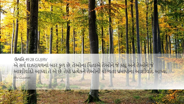ઉત્પત્તિ 49:28 GUJIRV Bible Verse Image