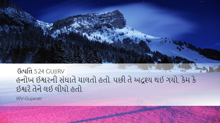 ઉત્પત્તિ 5:24 GUJIRV Bible Verse Image