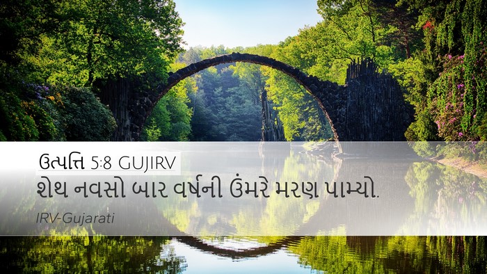 ઉત્પત્તિ 5:8 GUJIRV Bible Verse Image