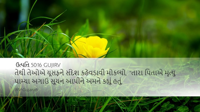 ઉત્પત્તિ 50:16 GUJIRV Desktop Wallpaper - તેથી તેઓએ યૂસફને - Desktop Bible Verse Wallpaper
