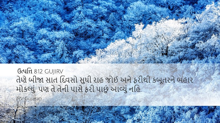 ઉત્પત્તિ 8:12 GUJIRV Bible Verse Image