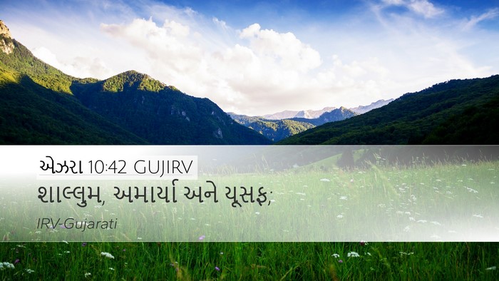એઝરા 10:42 GUJIRV Desktop Wallpaper - શાલ્લુમ, અમાર્યા - Desktop Bible Verse Wallpaper